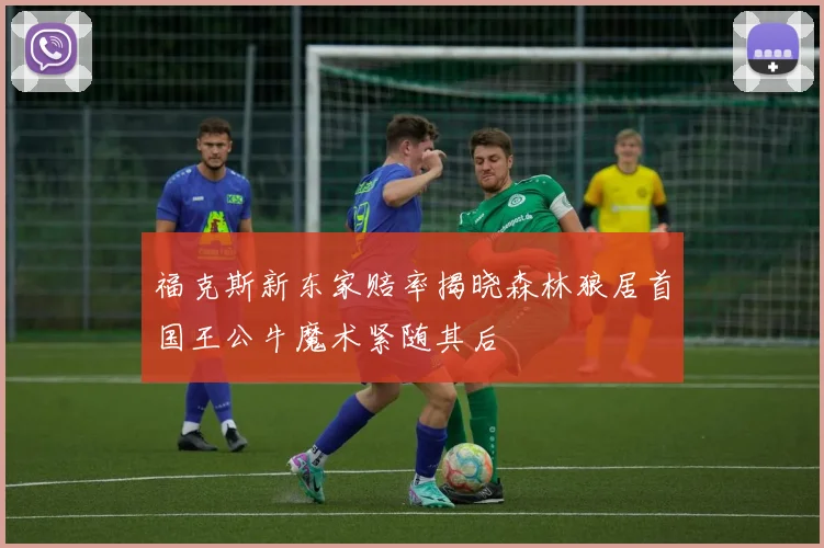 福克斯新东家赔率揭晓森林狼居首国王公牛魔术紧随其后
