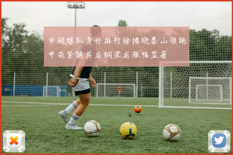 中超球队身价排行榜揭晓泰山领跑申花紧随其后铜梁龙涨幅显著