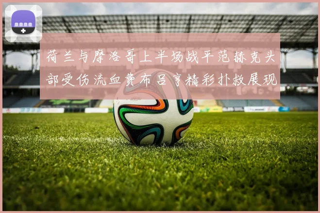 荷兰与摩洛哥上半场战平范赫克头部受伤流血费布吕亨精彩扑救展现实力