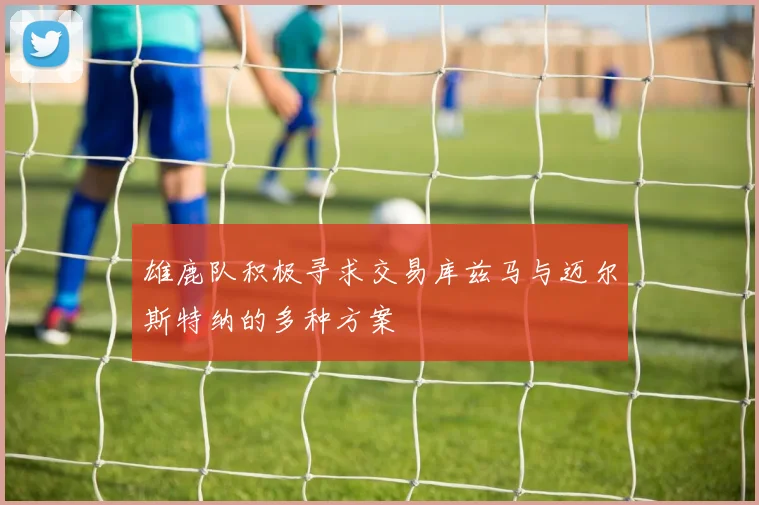雄鹿队积极寻求交易库兹马与迈尔斯特纳的多种方案